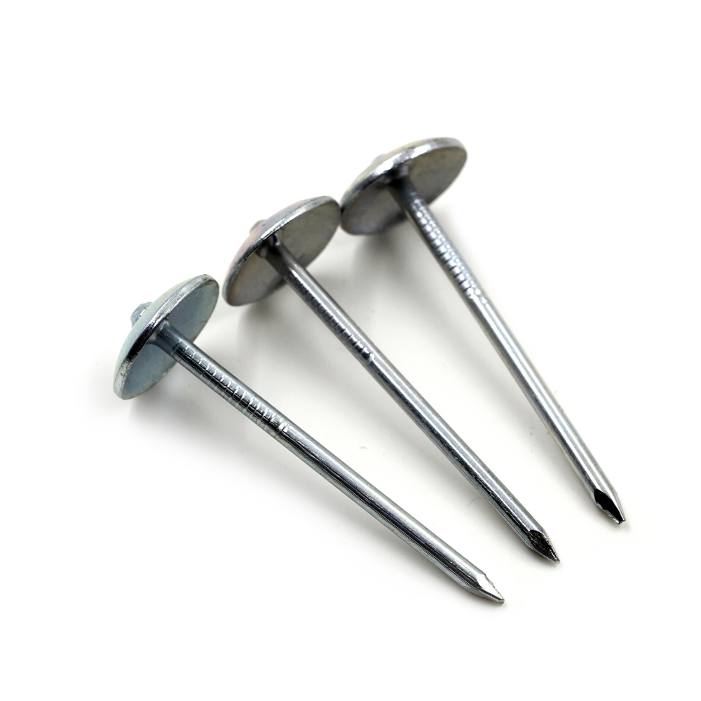twist-umbrella-head-galvanized-roofing-nail (2)